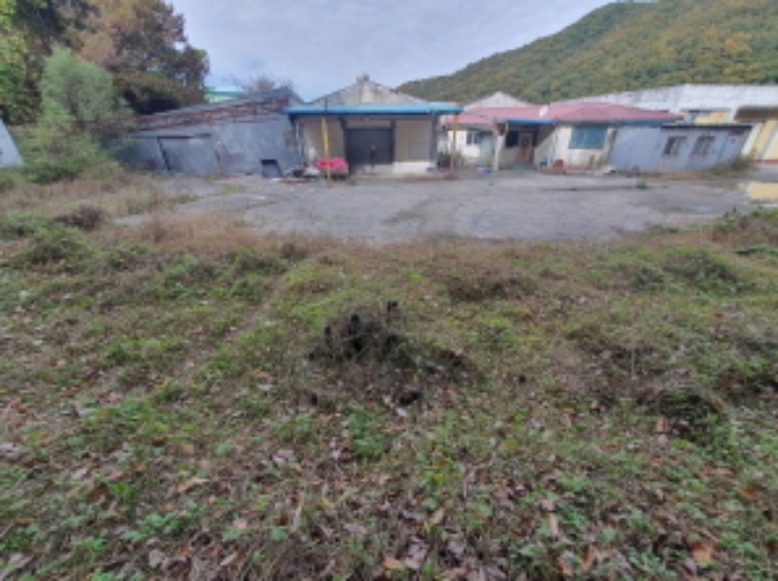 현장사진[토지, 건물 전경: 목동97-2, 99, 목동 97-5(진토길 21번길 6-8)] 