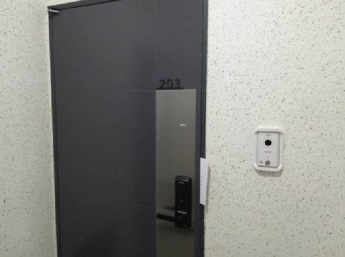 * 본건 목적물 2. 203호 현관문 전경