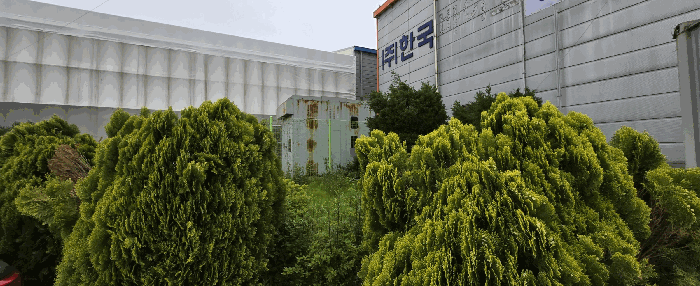 본건 동력 전경