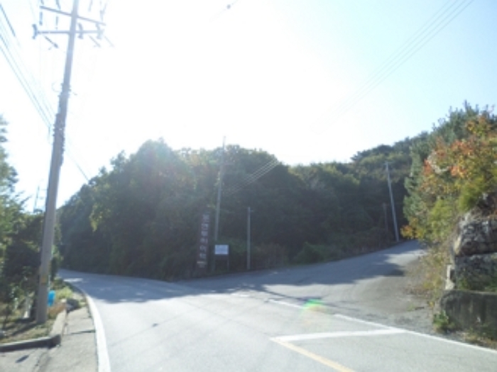 이 사건 임야 일대