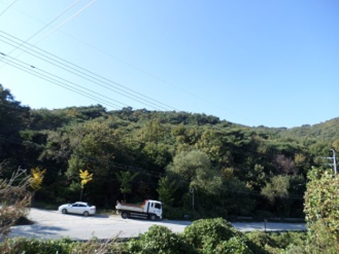 이 사건 임야 일대