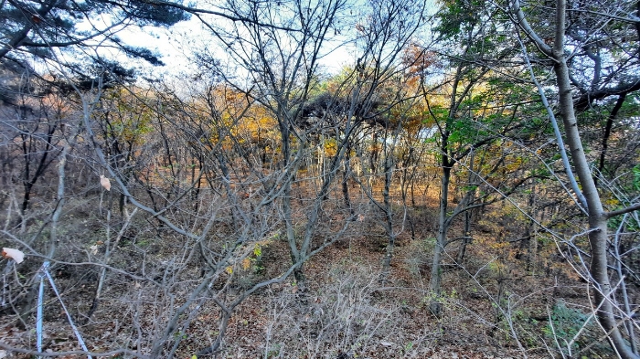 본건 일부 전경