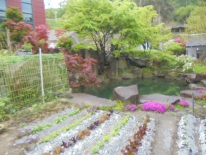 목적물 3번에 조경수, 인공연못