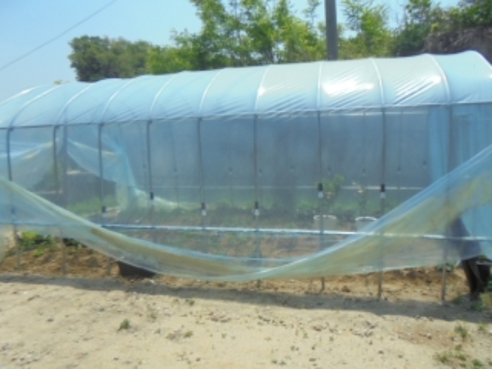 목적물 9번에 파이프조 비닐하우스(주)한음소유