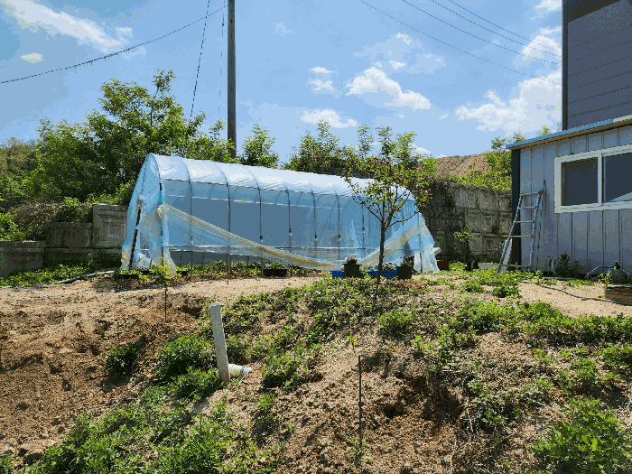 본건 소유자미상의 비닐하우스