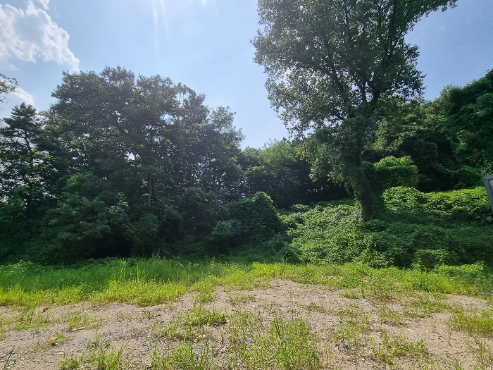 기호1 좌측 전경