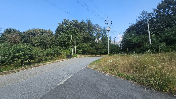 본건 인접도로 전경_1