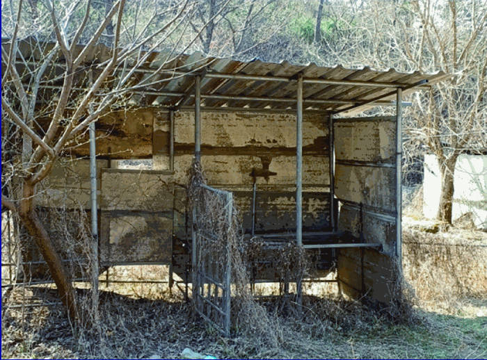 본건 제시외건물 (ㄴ)