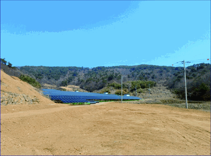 본건 원경 및 본건 소재 분묘