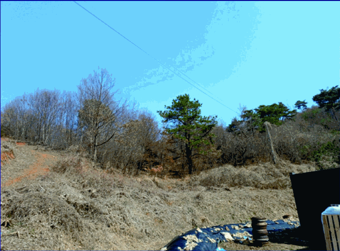 본건 근경 및 전기인입선(전주)
