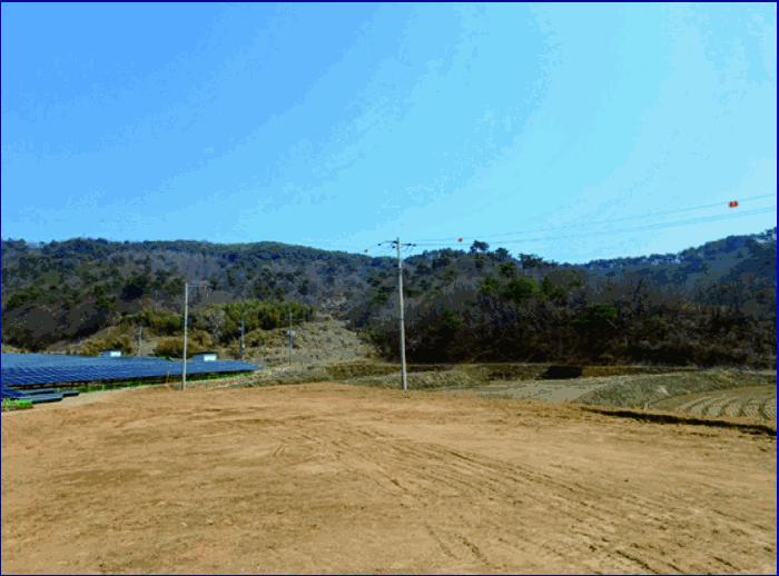 본건 및 본건 소재 분묘