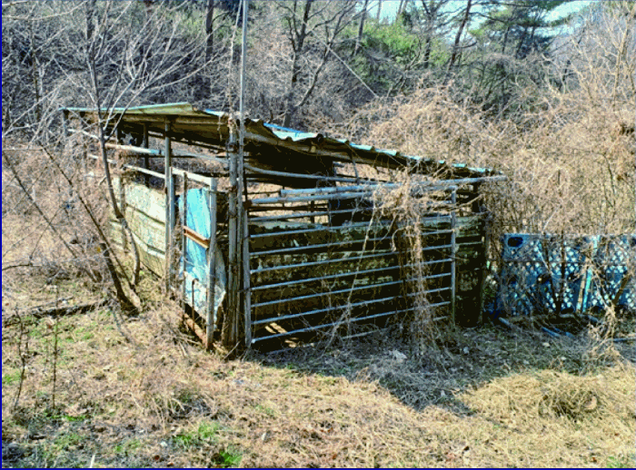 본건 제시외건물 (ㄷ)