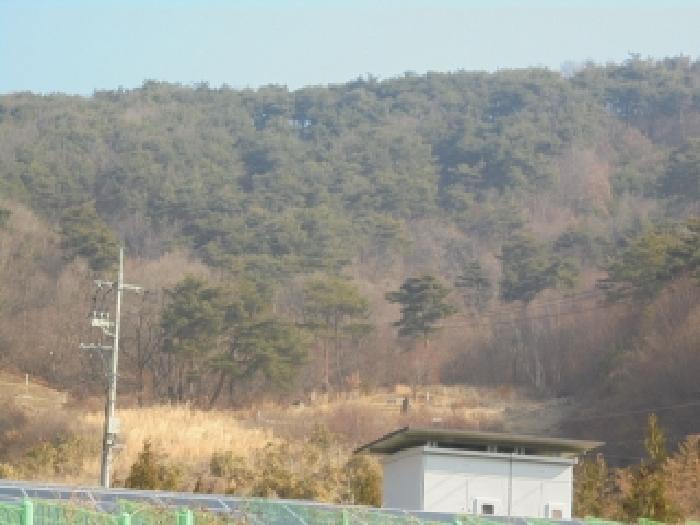 분묘 원거리 전경