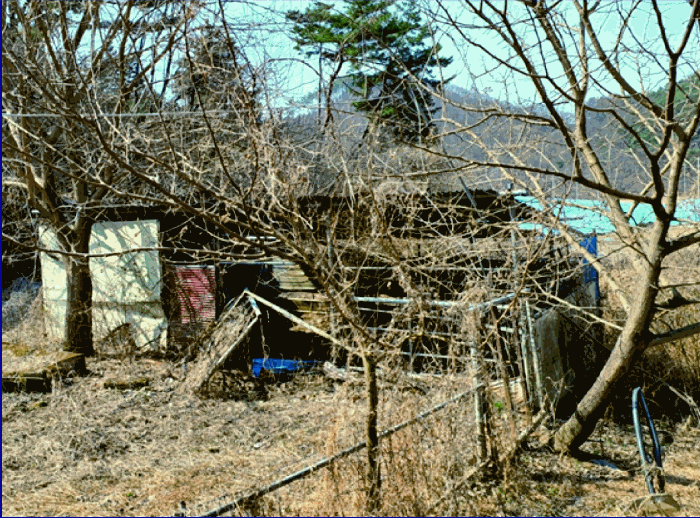 본건 제시외건물 (ㄱ)