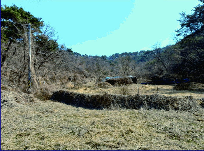 본건 근경 및 전기인입선(전주)
