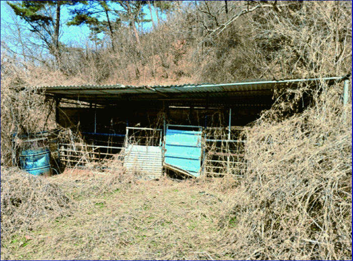 본건 제시외건물 (ㄹ)