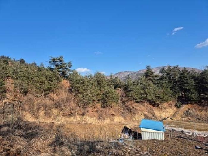 산33-6번지 아래 인접필지 전경