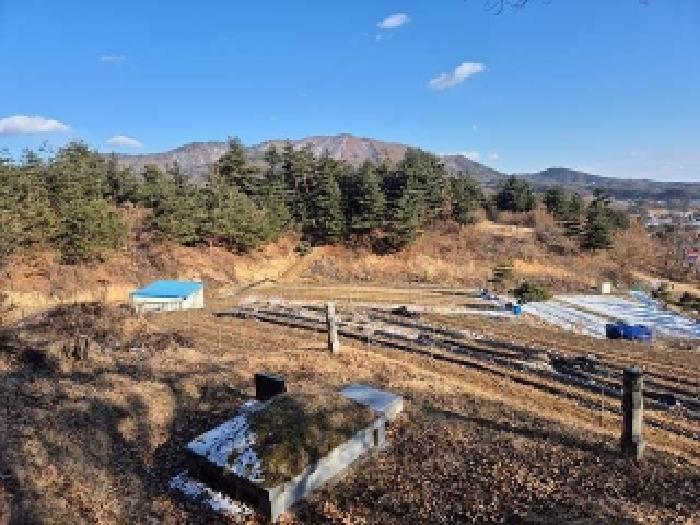 산33-6번지 아래 인접필지 전경