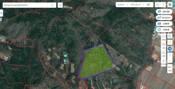 위성지도(국토교통부, 제공)-산33-6