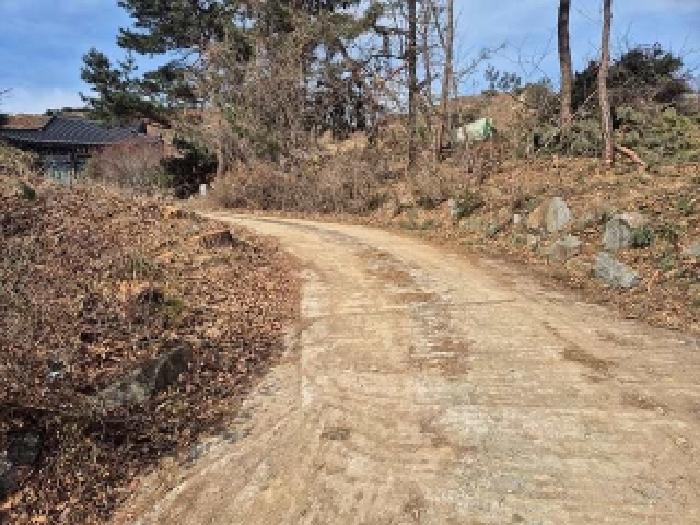 주변 비포장도로