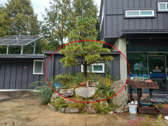 제시외건물(ㄱ)