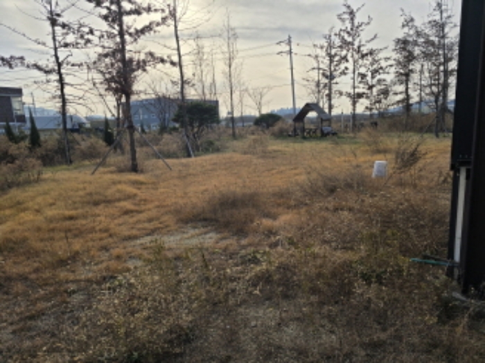 작산동 54-1
조경수