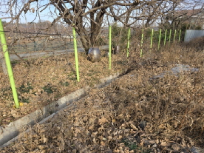 작산동 67-2
배수로