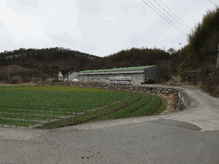 본건 및 주위환경