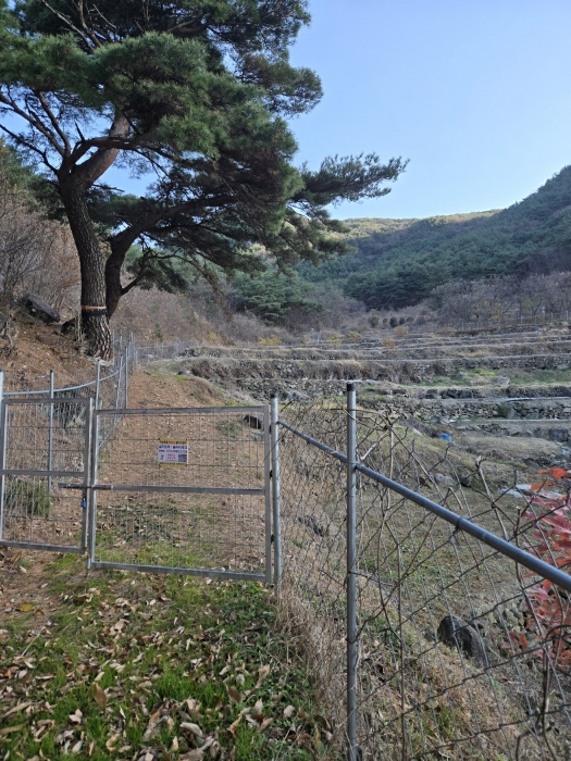 일련번호(1)토지 상단부