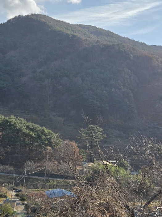 일련번호(4,7,8)의 전경