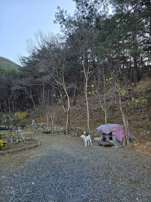 열련번호(1)토지상단부
