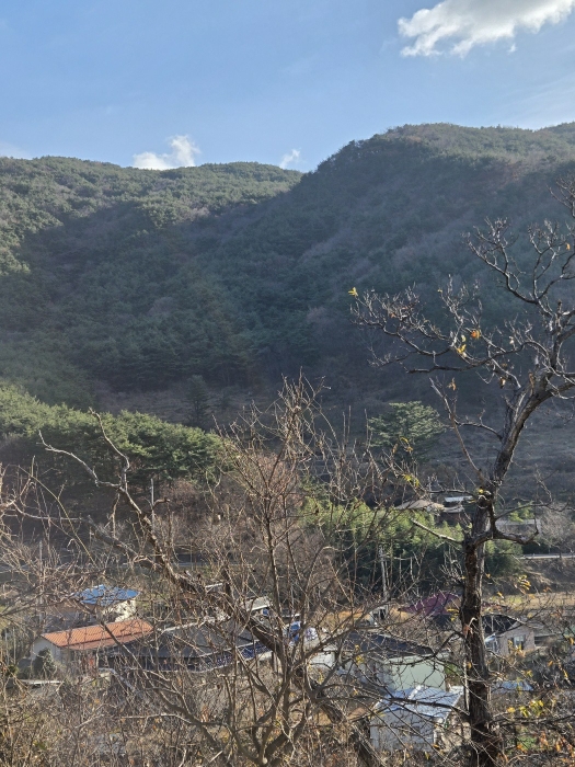 일련번호(1,2,5,6,8)의 전경