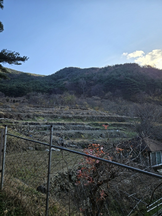 일련번호(4,7,8)의 전경