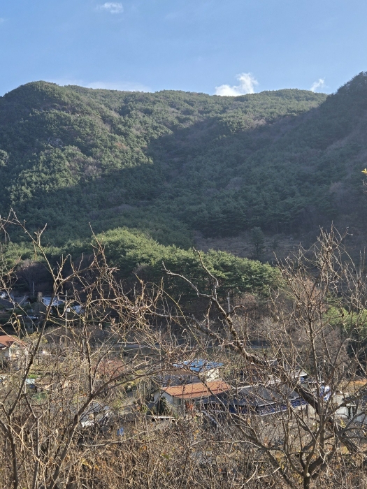 일련번호(1-8)의 전경