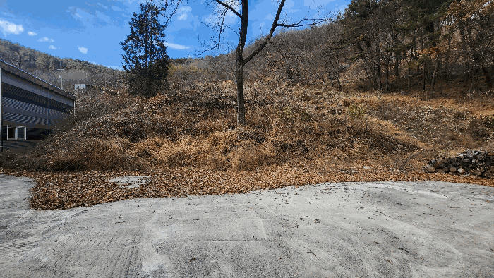 본건 기호 9) 전경