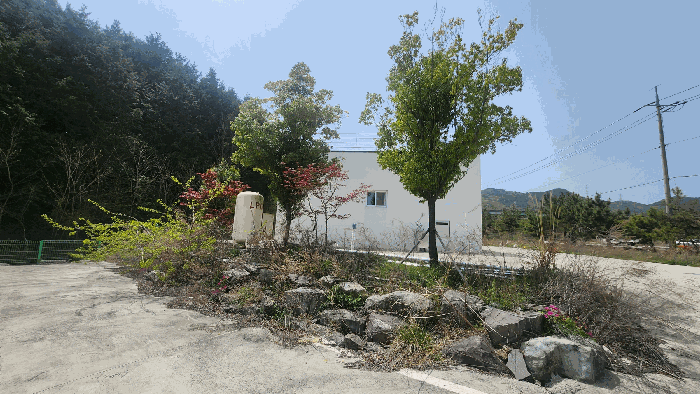 【기호1 지상위 제시외수목 전경】