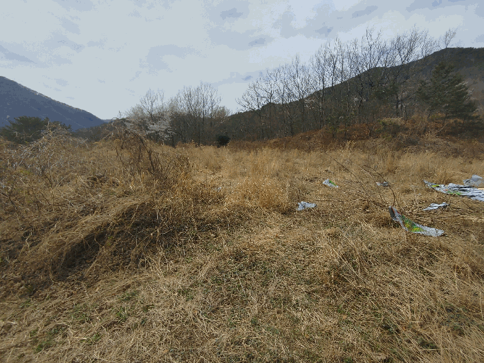 기호 6 토지전경