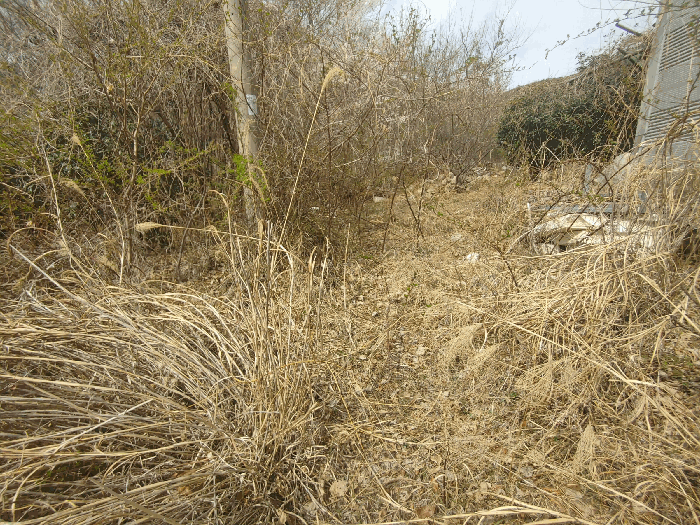 기호 1 토지전경