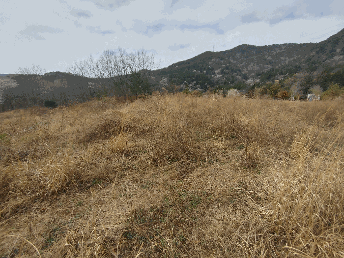 기호 5 토지전경