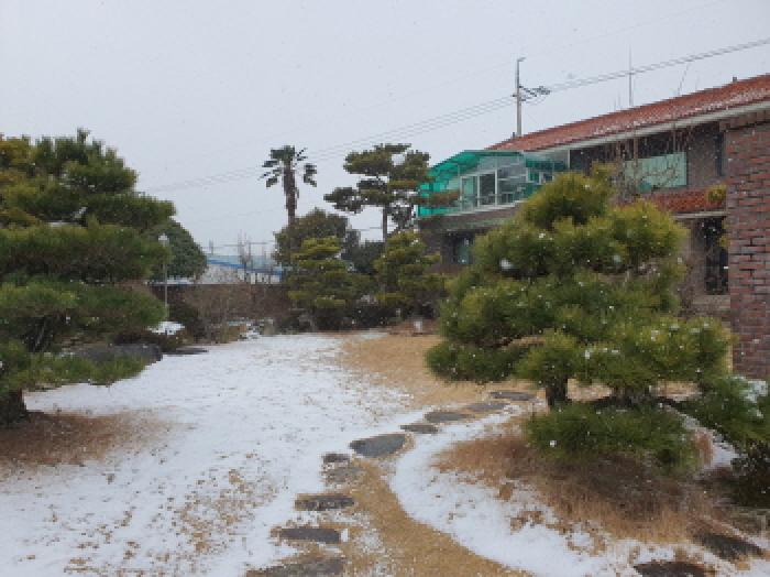 본건지상 조경수 전경