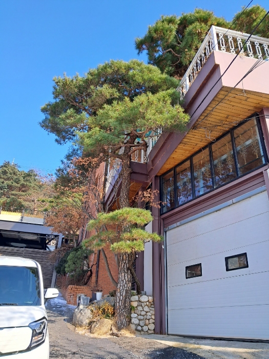 출입구 정문위치(소나무)