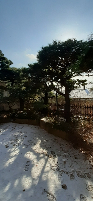 본건물 남측부분 정원수