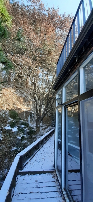 본건물 북측부분 정원수