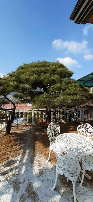 본건물 남측부분 정원수