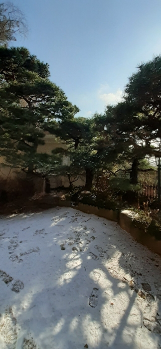 본건물 남동측부분 정원수