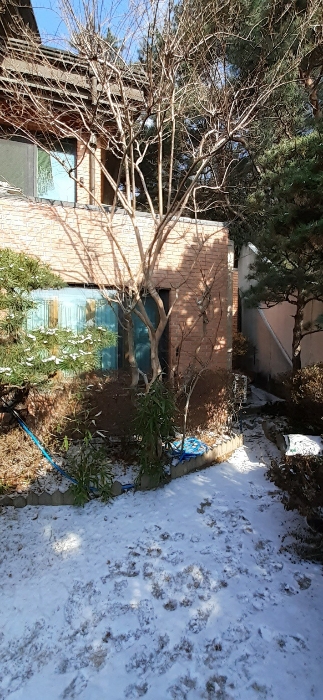 본건물 내 1층소재 정원수