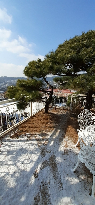 본건물 남측부분 정원수