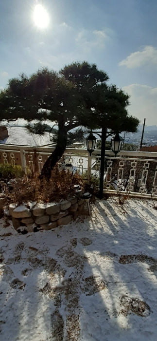 본건물 남측부분 정원수