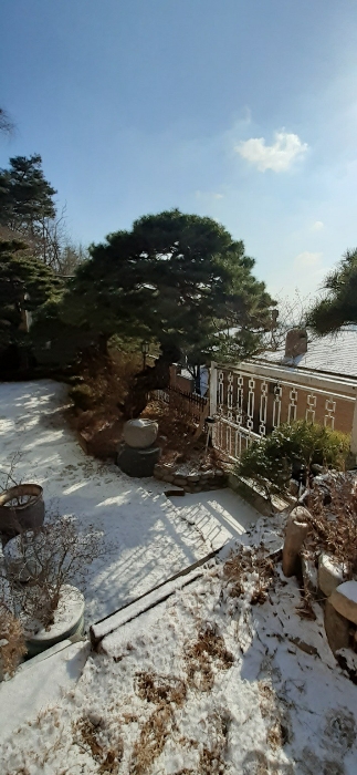 본건물 남측부분 정원수