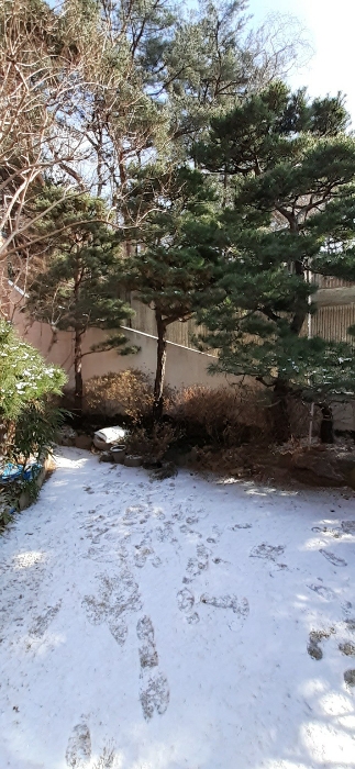 본건물 남동측부분 정원수